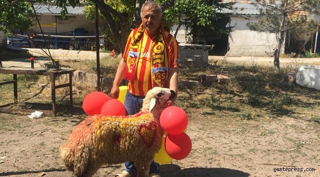 Kayserispor Taraftarı Salih İlhan, Kayserispor için Kurban Kesti